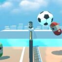 pin voleyballs 2
