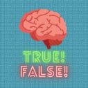 True or false quiz 3 true or false quiz